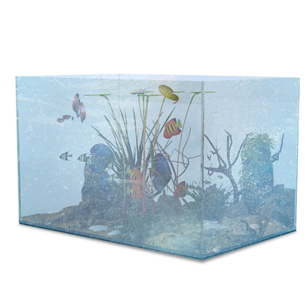 Fish Tank Medium in White Background